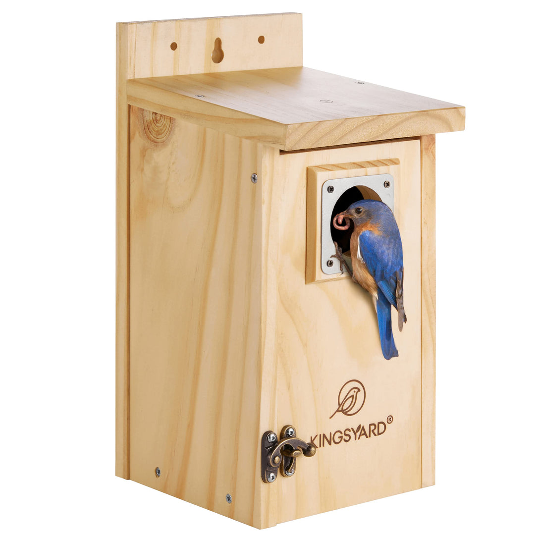 Kingsyard Blaues Vogelhaus für draussen - Klassisches Holz-Vogelhaus mit Raubtierschutz für Blaukehl