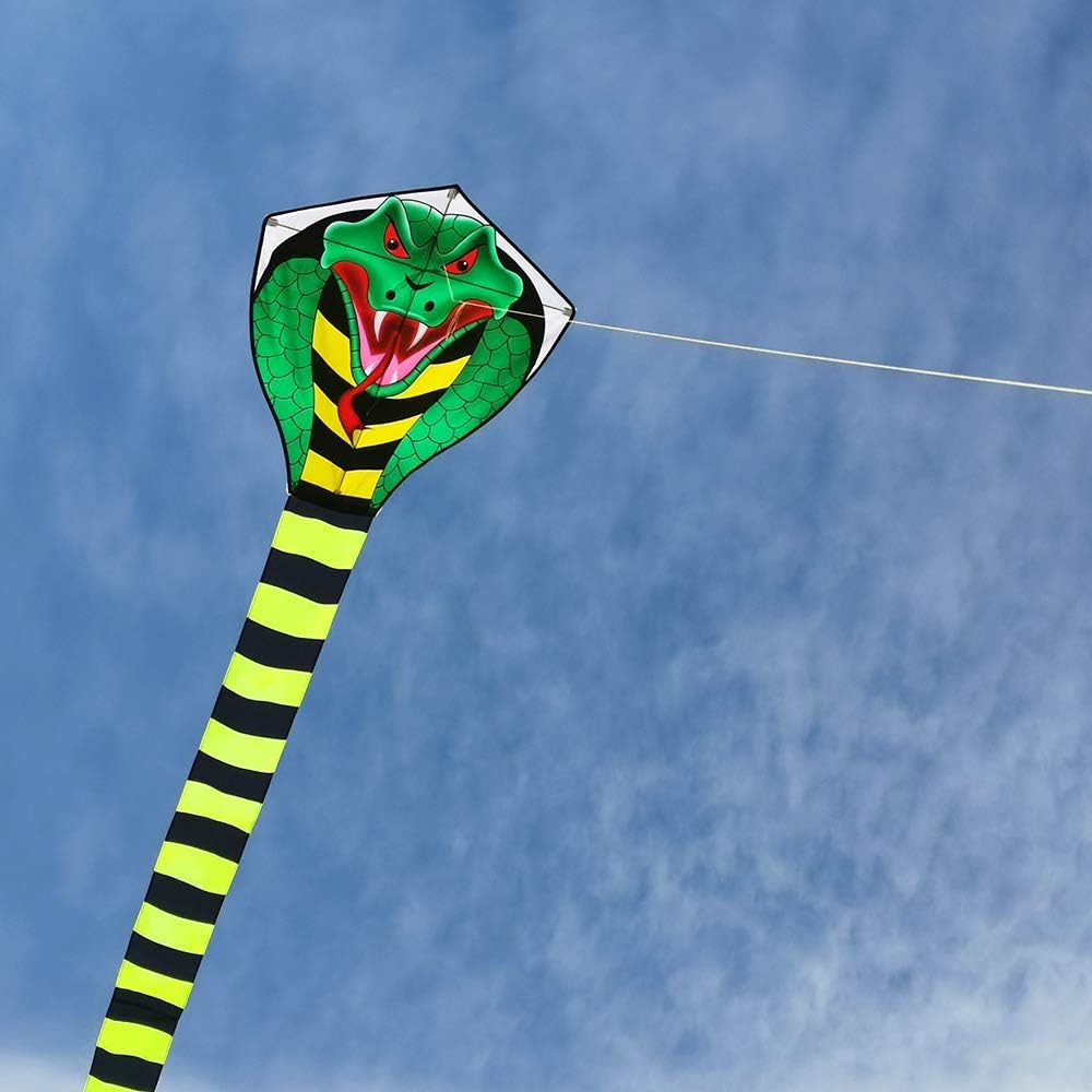 Mint's Colorful Life 49ft Gross Drachen für Kinder und Erwachsene Drachen einleiner,Kobra-Drachen mi
