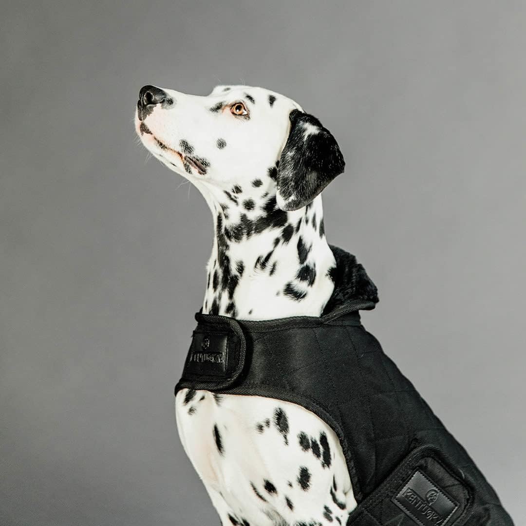Kentucky Dogwear Hundemantel 160g, Grösse:S/M, Farbe:schwarz schwarz S/M, schwarz S/M
