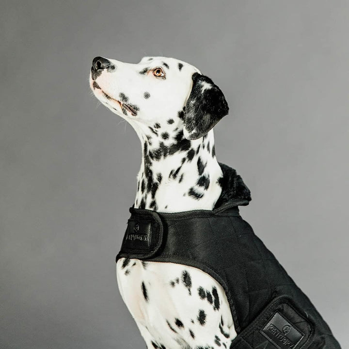 Kentucky Dogwear Hundemantel 160g, Grösse:S/M, Farbe:schwarz schwarz S/M, schwarz S/M
