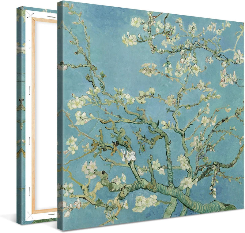 PICANOVA – Vincent Van Gogh Almond Blossom 80x80 cm – Bild auf Leinwand – Leinwandbild – Premium Lei