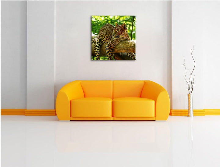 Pixxprint Leopard auf AST, Format: 70x70 auf Leinwand, XXL riesige Bilder fertig gerahmt mit Keilrah