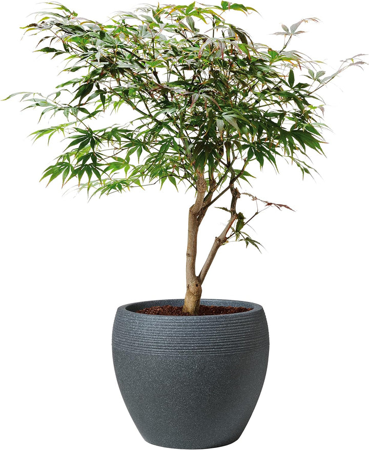 Scheurich Lineo, Pflanzgefäss aus Kunststoff, Schwarz-Granit, 40 cm Durchmesser, 32,7 cm hoch, 28 l