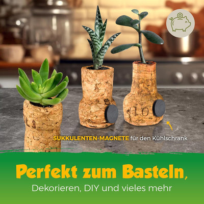 Sekt-Korken/Champagnerverschluss, gebraucht | Deko Hochzeit Basteln Kreationen, 50 Stück