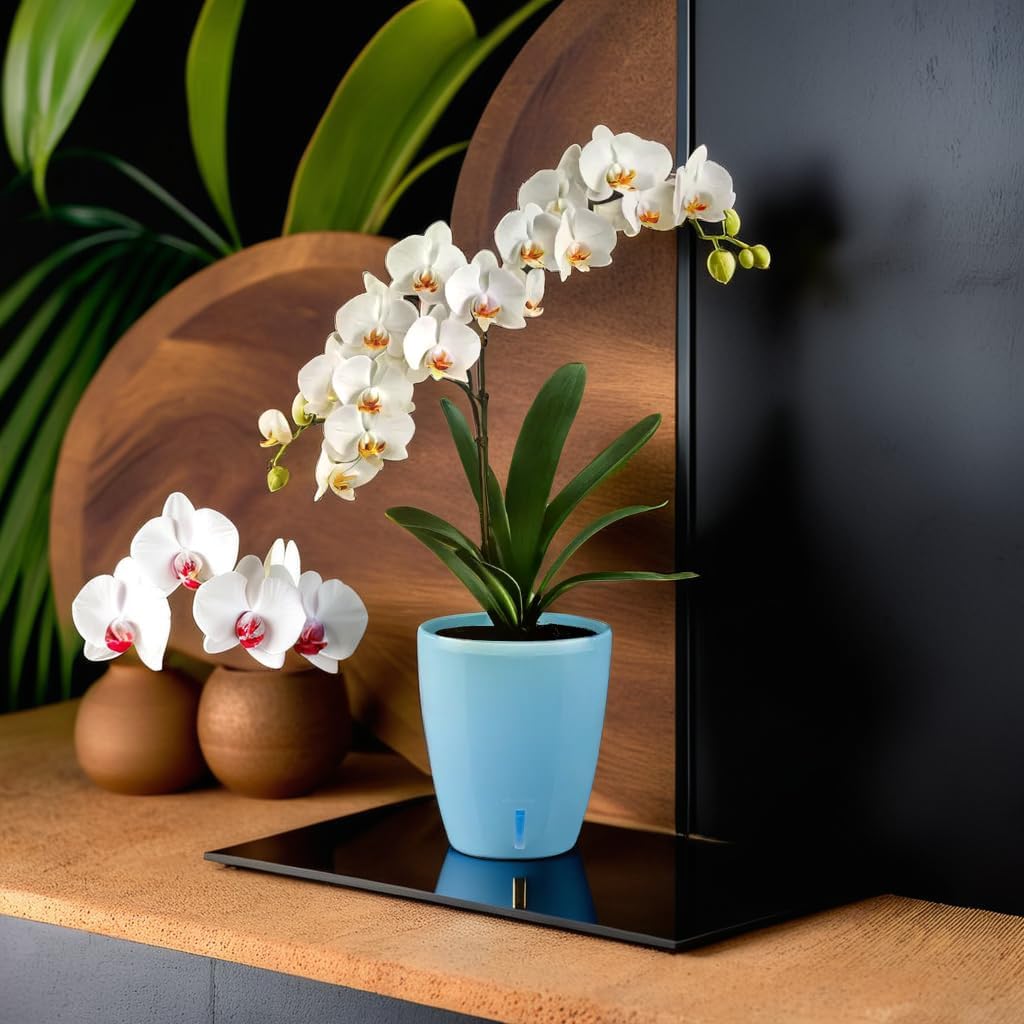 Santino 4er-Set Orchideentopf D 15cm Selbstbewässernder Topf mit Dochtsystem und Wasserstandsanzeige