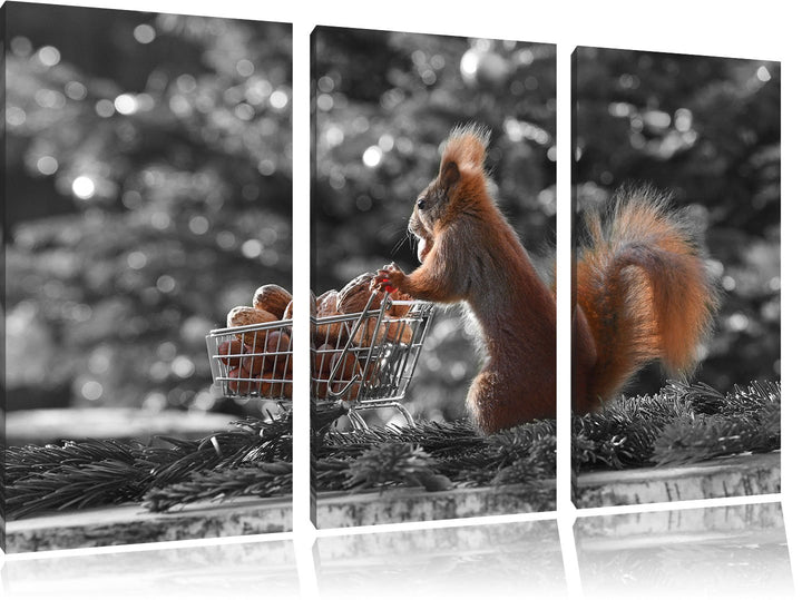 Pixxprint Eichhörnchen Schorschi Einkaufswagen B&W Detail 3-Teiler Leinwandbild 120x80 Bild auf Lein