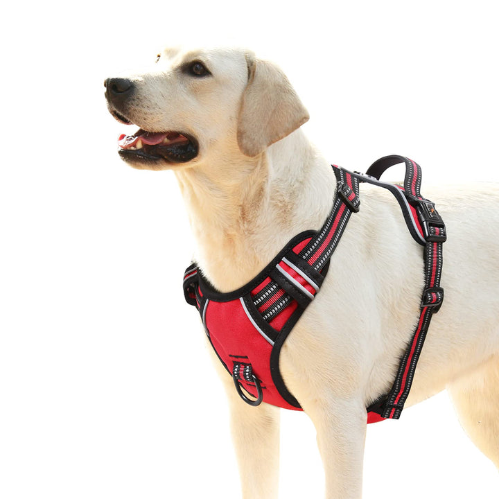 HEELE No-Pull Hundegeschirr, Brustgeschirr für Grosse Hunde, Weich Atmungsaktiv Einstellbar Reflekti