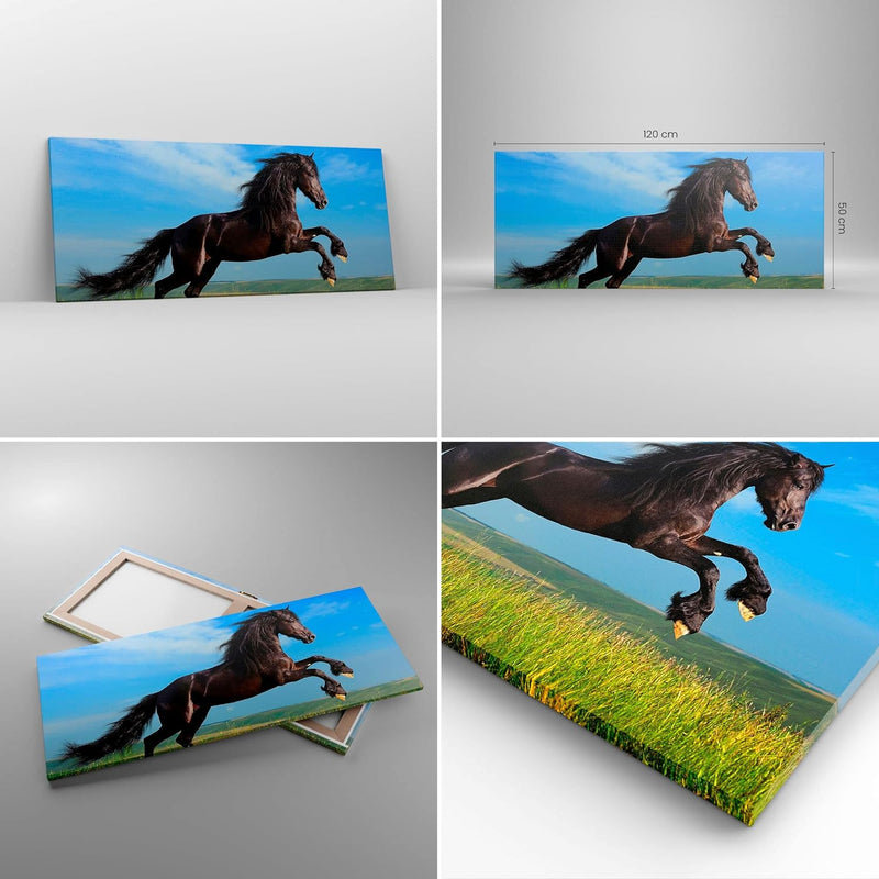 Wandbilder Dekoration Wohnzimmer Schwarzes Pferd Pferd Galopp Panorama Bilder auf Leinwand 120x50cm