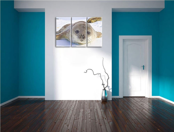 Süsses Robben Baby Spezial 3-Teiler Leinwandbild 120x80 Bild auf Leinwand, XXL riesige Bilder fertig