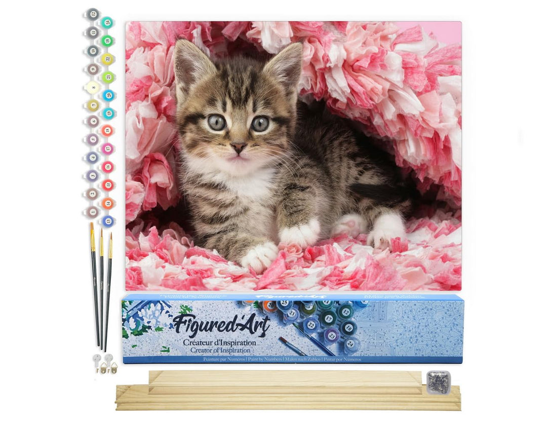 Figured'Art Malen Nach Zahlen Erwachsene Mit Rahmen Katze unter Decke - Paint by Numbers Basteln DIY