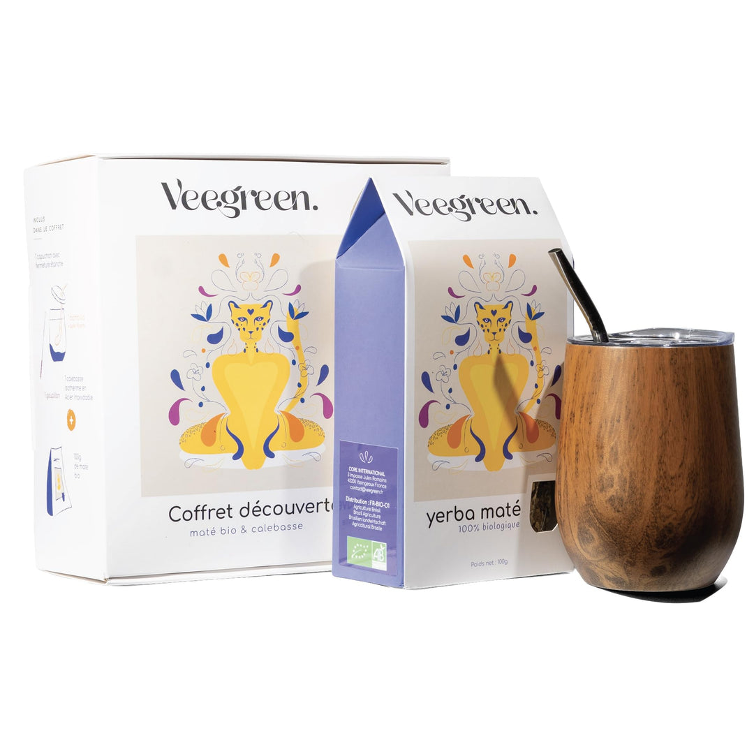 Set Tasse Yerba Maté | Argentinien | Kalebasse + Bombilla Strohhalm + Deckel | ideale Trinkflasche z