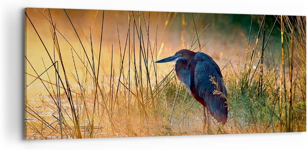 Wandbilder Dekoration Wohnzimmer Vogel Natur Wasser Panorama Bilder auf Leinwand 120x50cm Leinwandbi