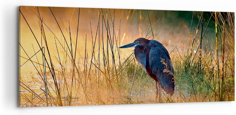 Wandbilder Dekoration Wohnzimmer Vogel Natur Wasser Panorama Bilder auf Leinwand 120x50cm Leinwandbi