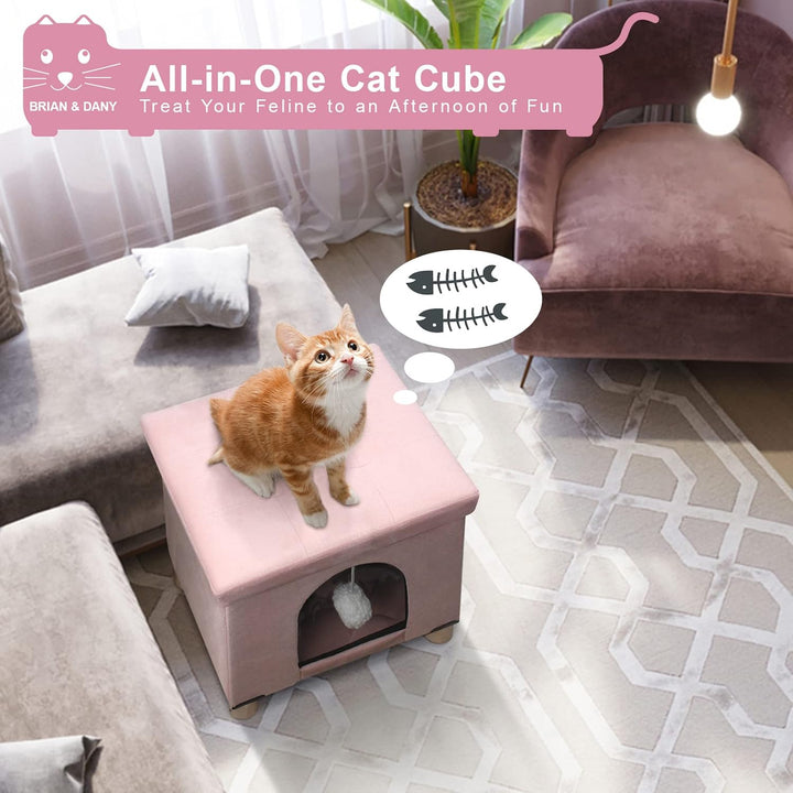 BRIAN & DANY Faltbare Katzenhöhle Grosse Katzen, Katzenhaus mit Kratzbrett und Spielball, Katzen Höh