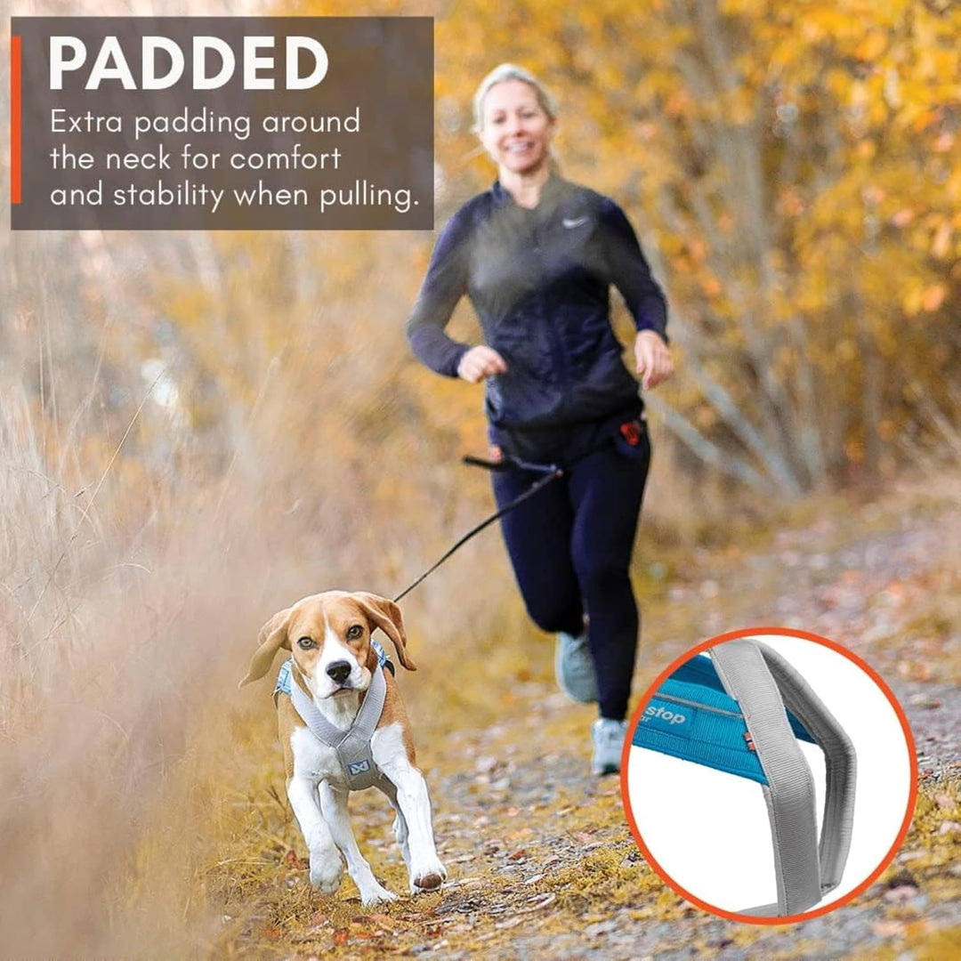 Non-stop dogwear FREEMOTION Harness 5.0 |111| Hundegeschirr für alle Sportarten, Grösse:5, 5