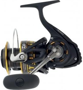 Daiwa Meeresrolle BG 4000