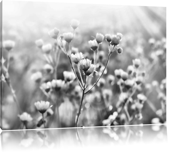Pixxprint Romantische Blumenwiese / 100x70cm Leinwandbild bespannt auf Holzrahmen/Wandbild Kunstdruc