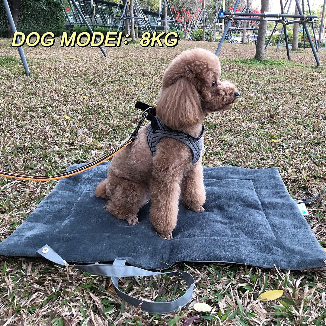 Pawsse Wasserdicht Hundedecke für Unterwegs 127 x 70cm, Outdoor Hundematte Waschbar Hundekissen zum