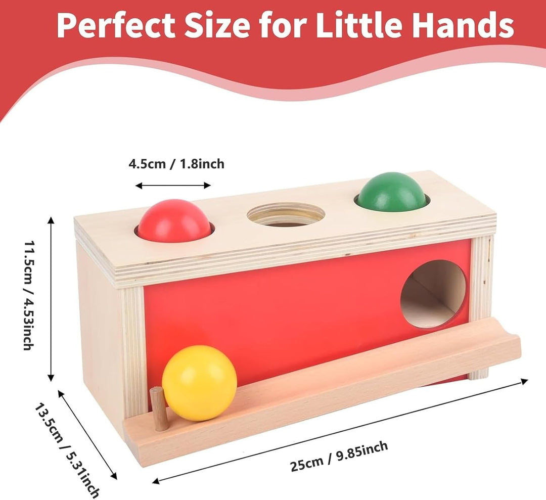 Montessori Spielzeug ab 1 Jahr, Baby Holzspielzeug ab 9 Monate, Objektpermanenz Box für Baby 12-18 M