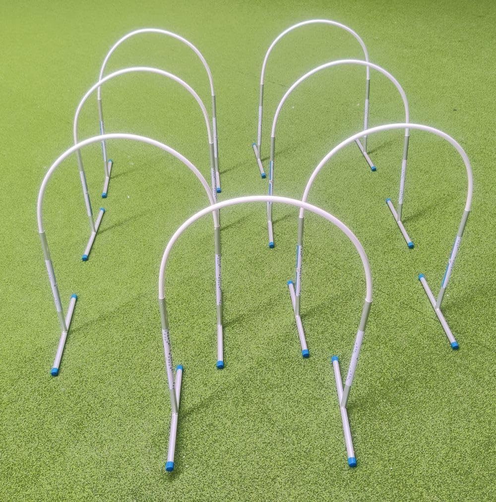 Hoopers Agility Hoops - NADAC Hoopers Agility Hoops ohne Mittelstrebe (Grosspackung) Weiss, Weiss