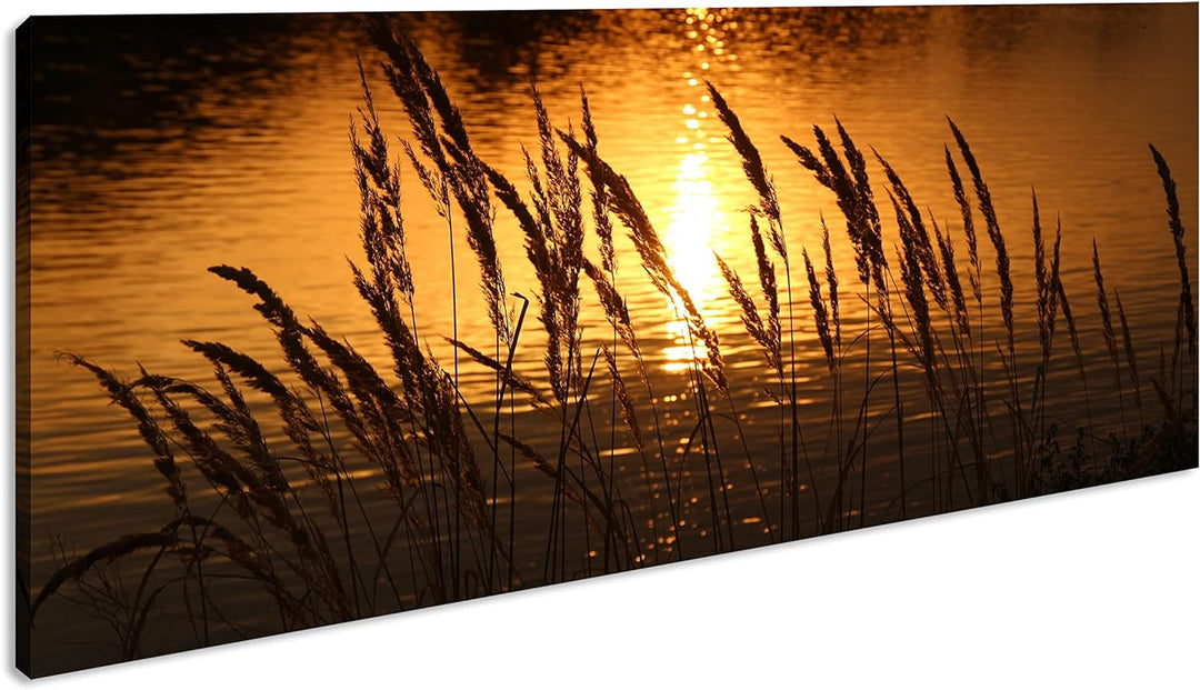 Gräser am Ufer eines Sees Panorama 100x50 cm als Leinwandbild, Motiv fertig gerahmt auf Echtholzrahm