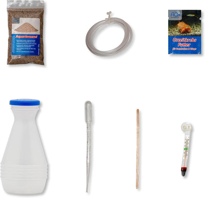 Triops cancriformis simplex Starterset: Urzeitkrebse Eier, 2,5 l Aquarium, Zubehör, Futter und Anlei