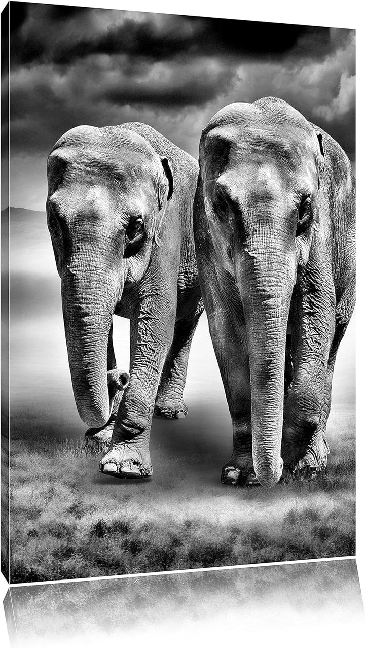 Pixxprint Elefanten in Steppe als Leinwandbild/Grösse: 100x70 / Wandbild/Kunstdruck/fertig bespannt,