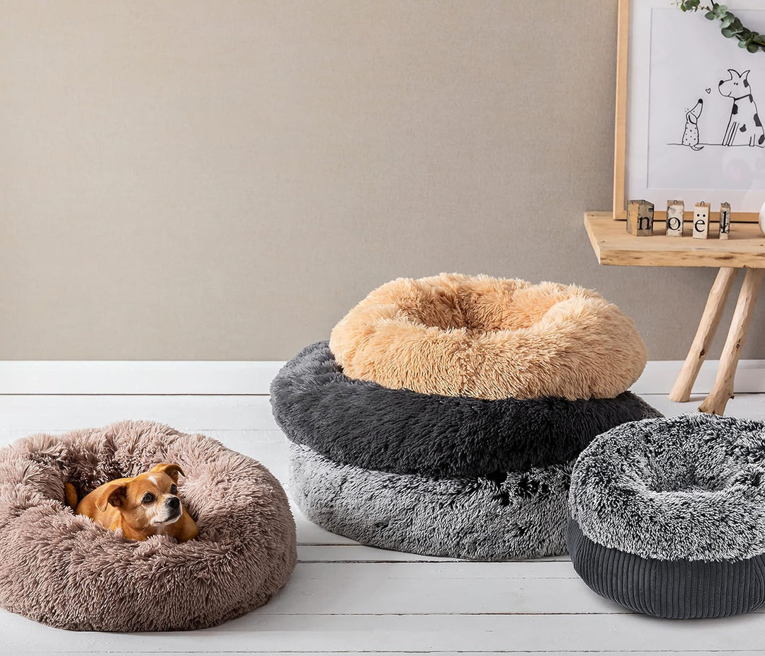 Dehner Lieblinge Hunde- und Katzenbett Cookie, Grösse L, ca. Ø 76 cm, Höhe ca. 17 cm, Polyester, bra