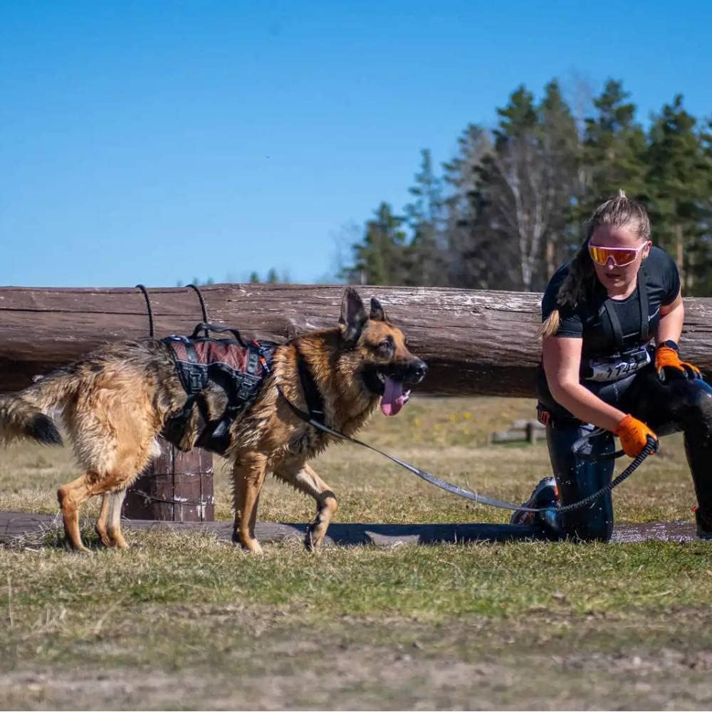 Non-Stop dogwear Rock Harness Long |130| Trekking, Führ und Alltagsgeschirr, Grösse:L