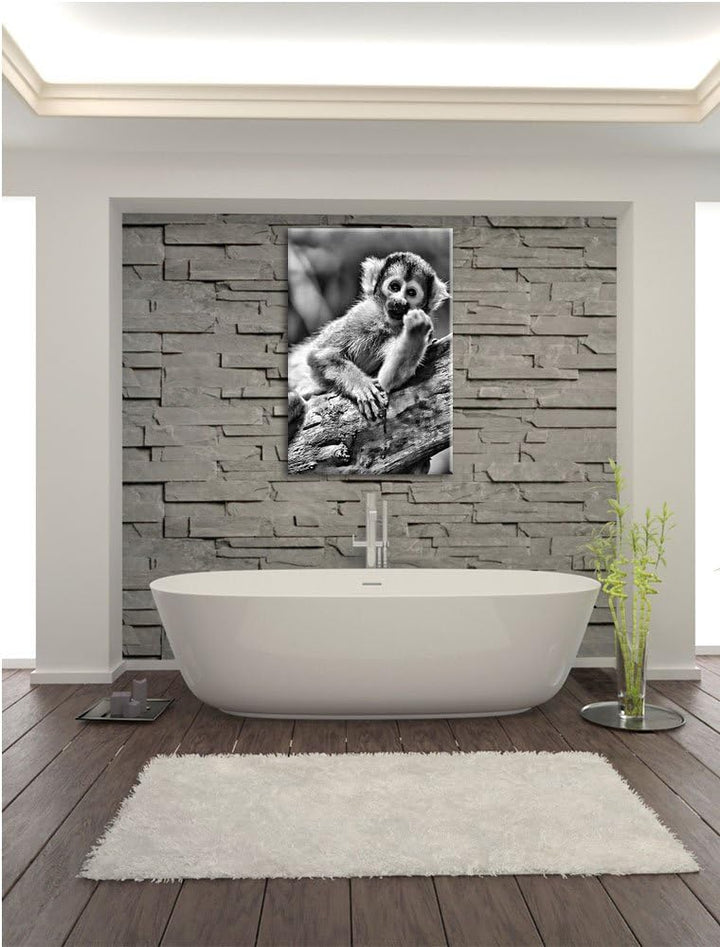 Pixxprint Kapuzineräffchen / 100x70cm Leinwandbild bespannt auf Holzrahmen/Wandbild Kunstdruck Dekor