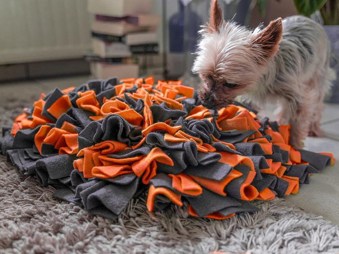 TrendPet Schnüffelteppich Schnüffelmatte für Hunde 48x48 cm 10 cm dick und rutschfest (Orange), Oran