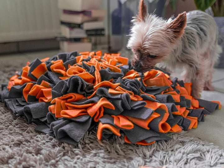TrendPet Schnüffelteppich Schnüffelmatte für Hunde 48x48 cm 10 cm dick und rutschfest (Orange), Oran