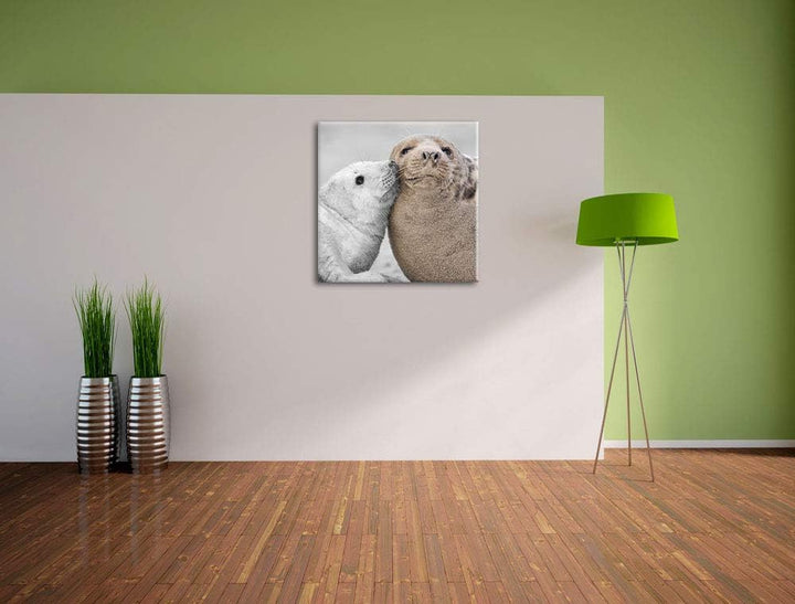 Pixxprint süsse Robben schmusen als Leinwandbild Quadratisch/Grösse: 70x70 / Wandbild/Kunstdruck/fer