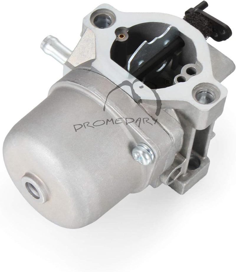 Dromedary 799728 Vergaser für Briggs Stratton 498027 498231 499161 495706 494502 494392 498134 49659