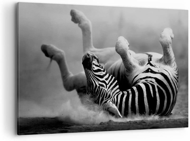 Bilder auf Leinwand 100x70cm Leinwandbild Zebra Streifen Tier wild Gross Wanddeko Bild Schlafzimmer