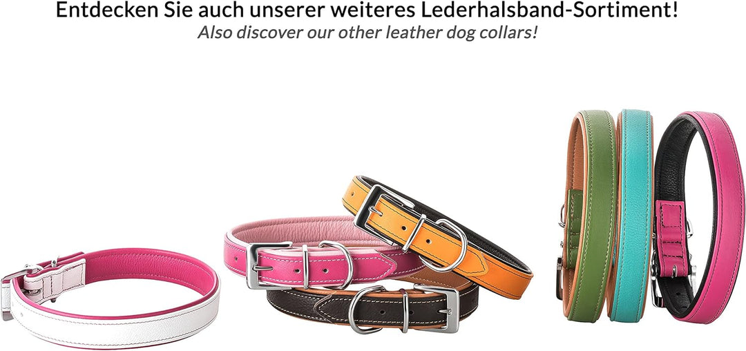 Schnüffelfreunde Lederhalsband Hund - Fun Line (XXL - 55-65cm, Beige-Pink) XXL Beige-Pink, XXL Beige