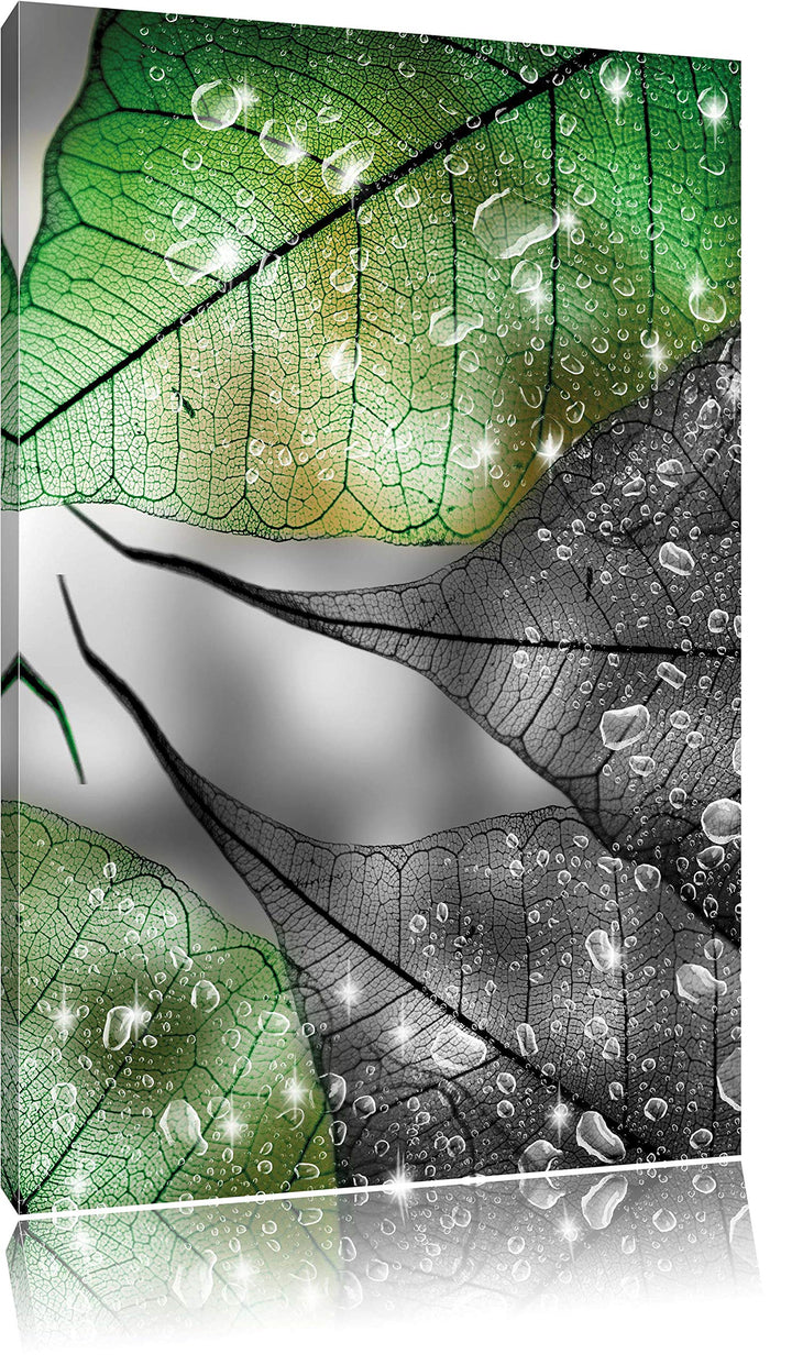 Pixxprint grüne Blätter mit Wassertropfen schwarz/weiss, Format: 70x100 auf hochkantiges Leinwand, 7