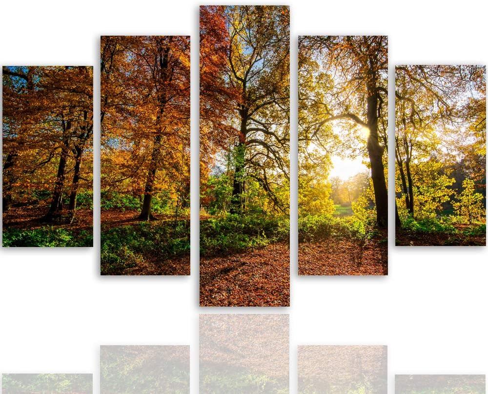 Wanddeko XXL Landschaft Leinwandbild 5 Teilig Herbst Blätter Bäume bunt 100x70 cm Leinwandbild 100x7