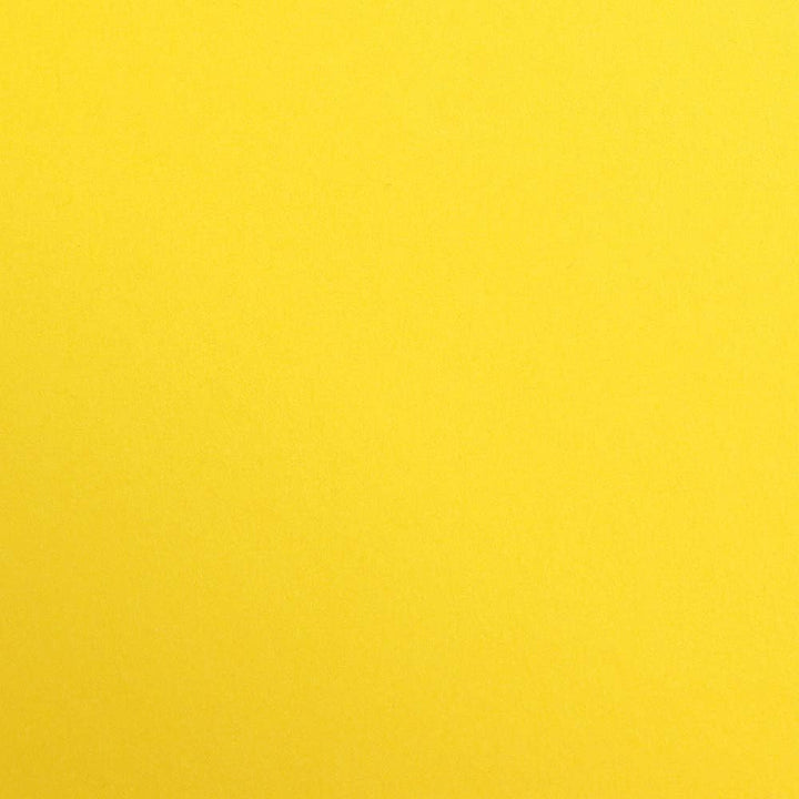 Clairefontaine 397253C Packung (mit 125 Bögen Zeichenpapier Maya, 50 x 70 cm,270g, glatt, ideal für