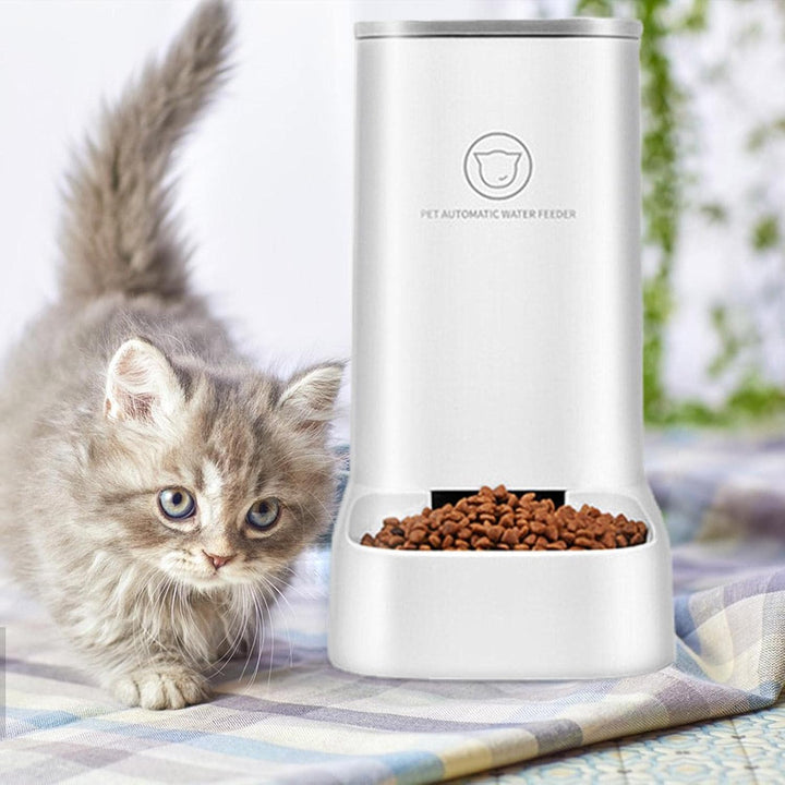 Futterautomat Katze, Katzenfutter Automat, Hohe Kapazität 3,8 L, Reisefutterspender Und Wasserspende