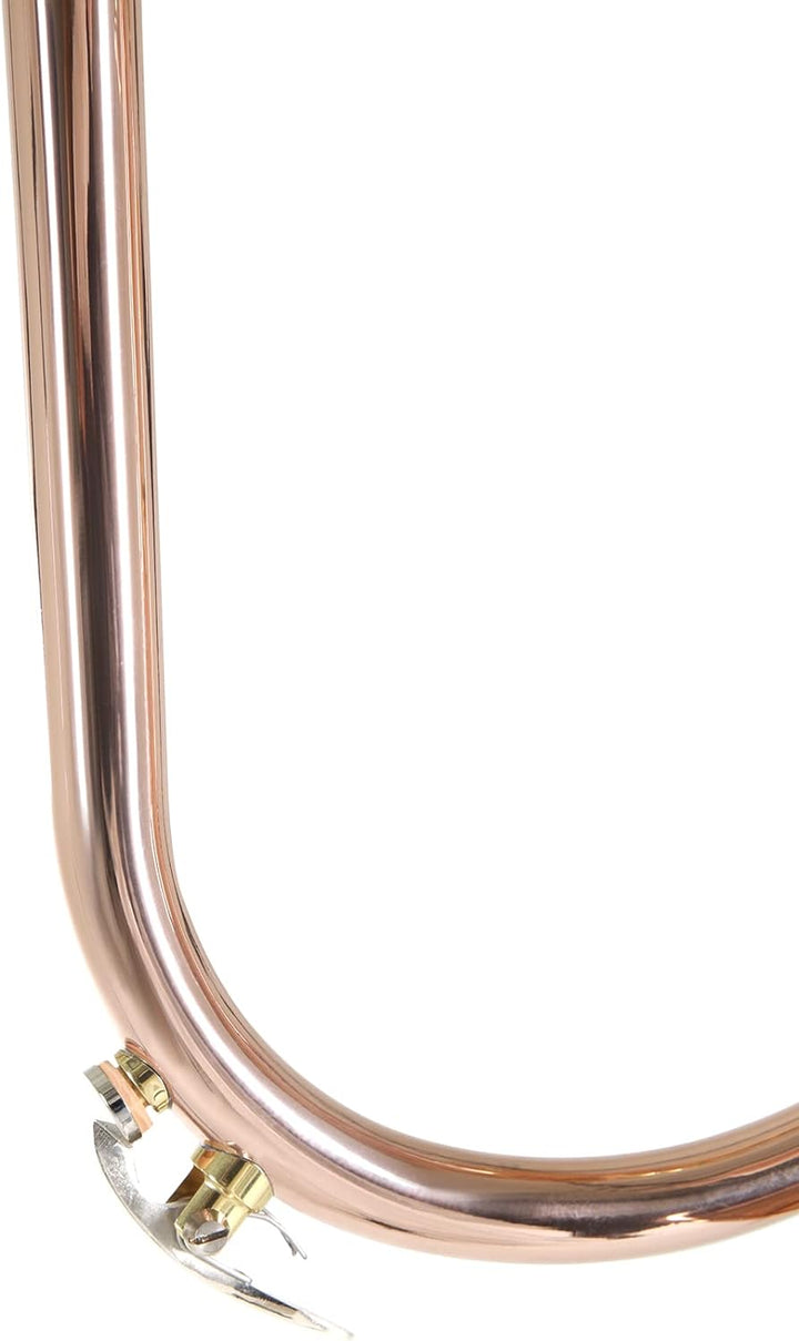 Roy Benson Bb Flügelhorn MOD.FH-302G Goldmessing Schall, inkl. Etui, FH-302G