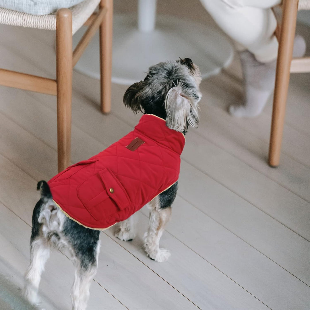 Queenmore Hundemantel Winter Mittelgrosse Hunde Warme Wintermantel Hund Fleece Hundejacke Wasserdich