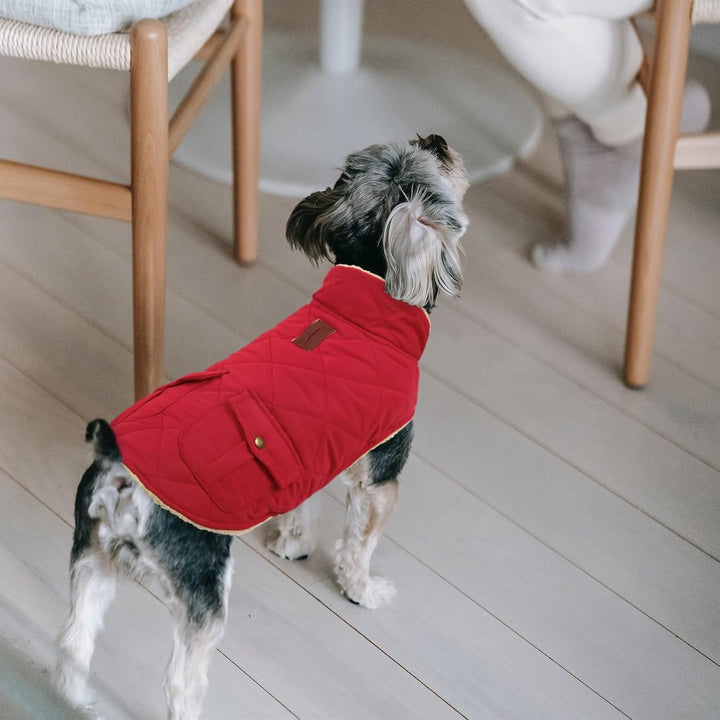 Queenmore Hundemantel Winter Mittelgrosse Hunde Warme Wintermantel Hund Fleece Hundejacke Wasserdich