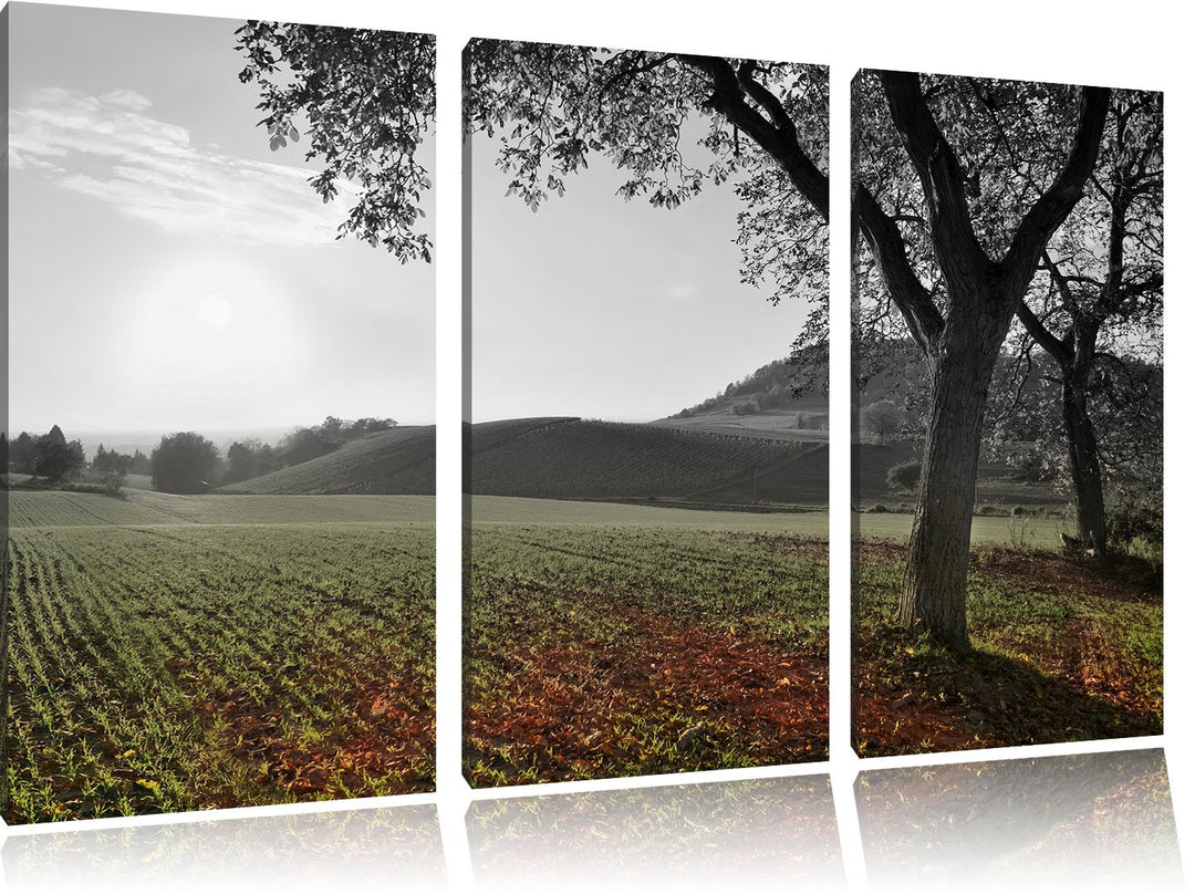 Pixxprint Landschaft im Herbst B&W Detail 3-Teiler Leinwandbild 120x80 Bild auf Leinwand