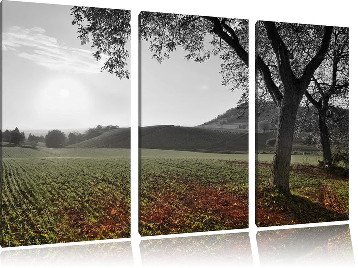 Pixxprint Landschaft im Herbst B&W Detail 3-Teiler Leinwandbild 120x80 Bild auf Leinwand