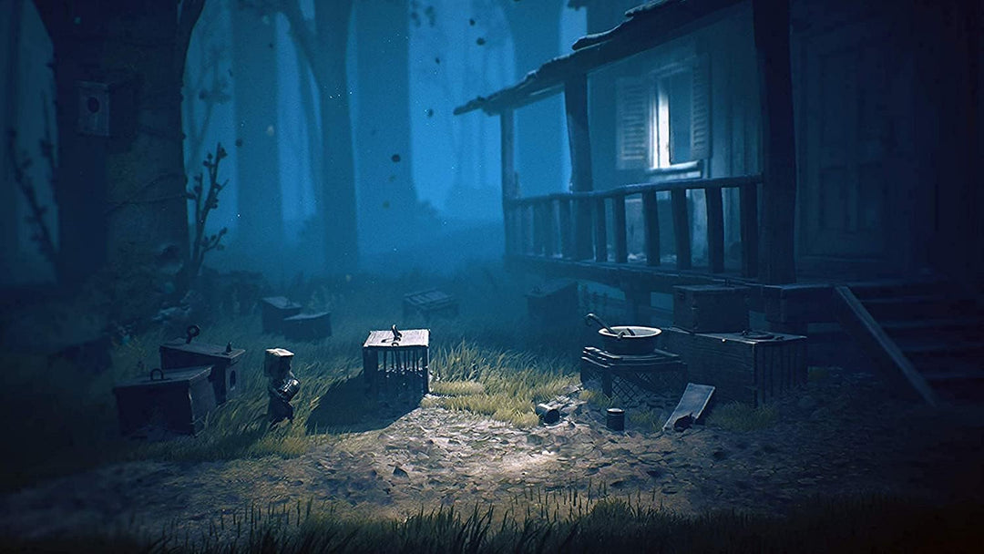 Bandai Namco Little Nightmares 2 PS4 Single, Single
