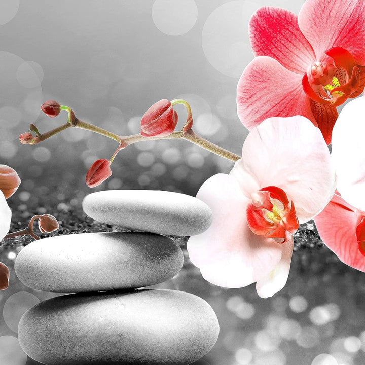 Runa Art Wandbilder Blumen Orchidee 5 Teilig Bild auf Vlies Leinwand Deko Wohnzimmer Zen Rot Grau 03