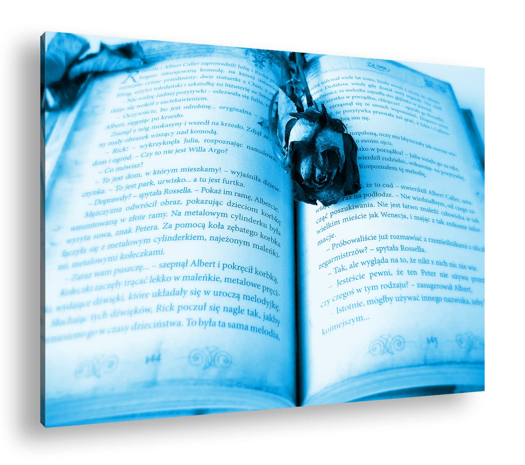 deyoli altes Buch mit roter Rose Format 80x60 Effekt: Monocrome Blau als Leinwandbild, Motiv fertig
