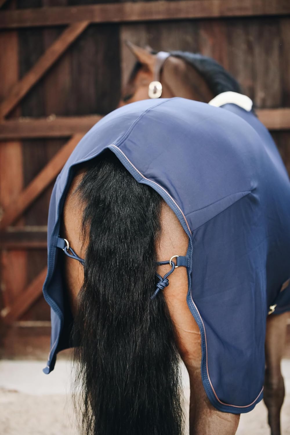 Kentucky Abschwitzdecke fleece 160 navy, 160 navy