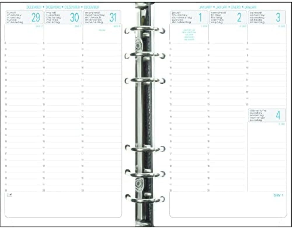 Exacompta Exatime 17 Ostsee 7255 Organizer braun, braun